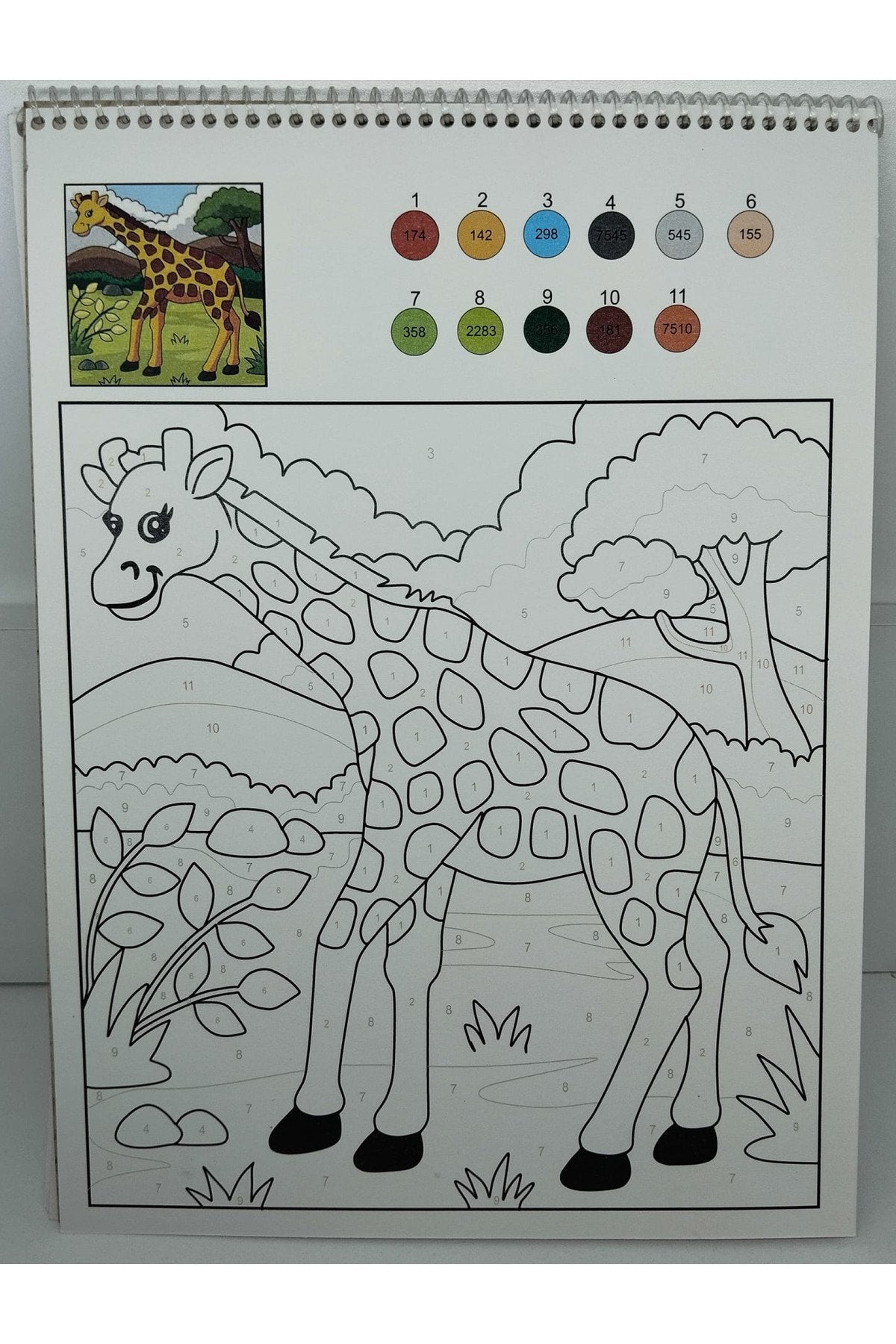Çocuklar için sayılarla boyama kitabı ve 24 lü marker set