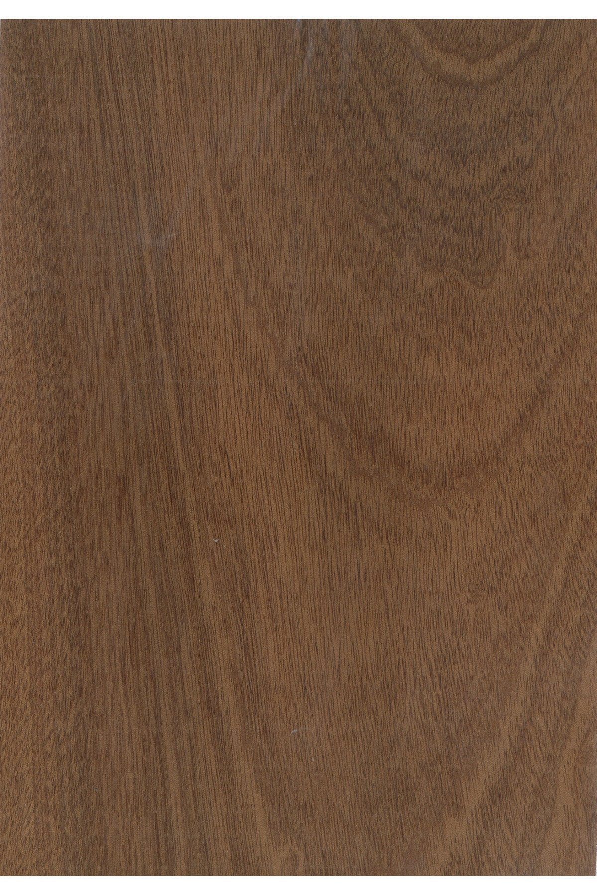 ahşap maun Hareli kaplama 20x30 cm 0,5 mm 2 adet