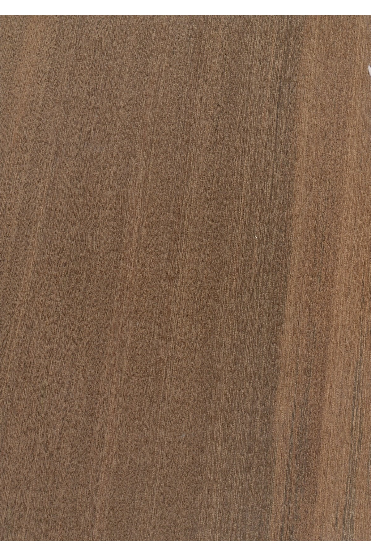 ahşap maun kaplama 20x30 cm 0,5 mm 2 adet