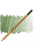 Rembrandt Polycolor Kuru Boya Kalemi Cedar Green / 074