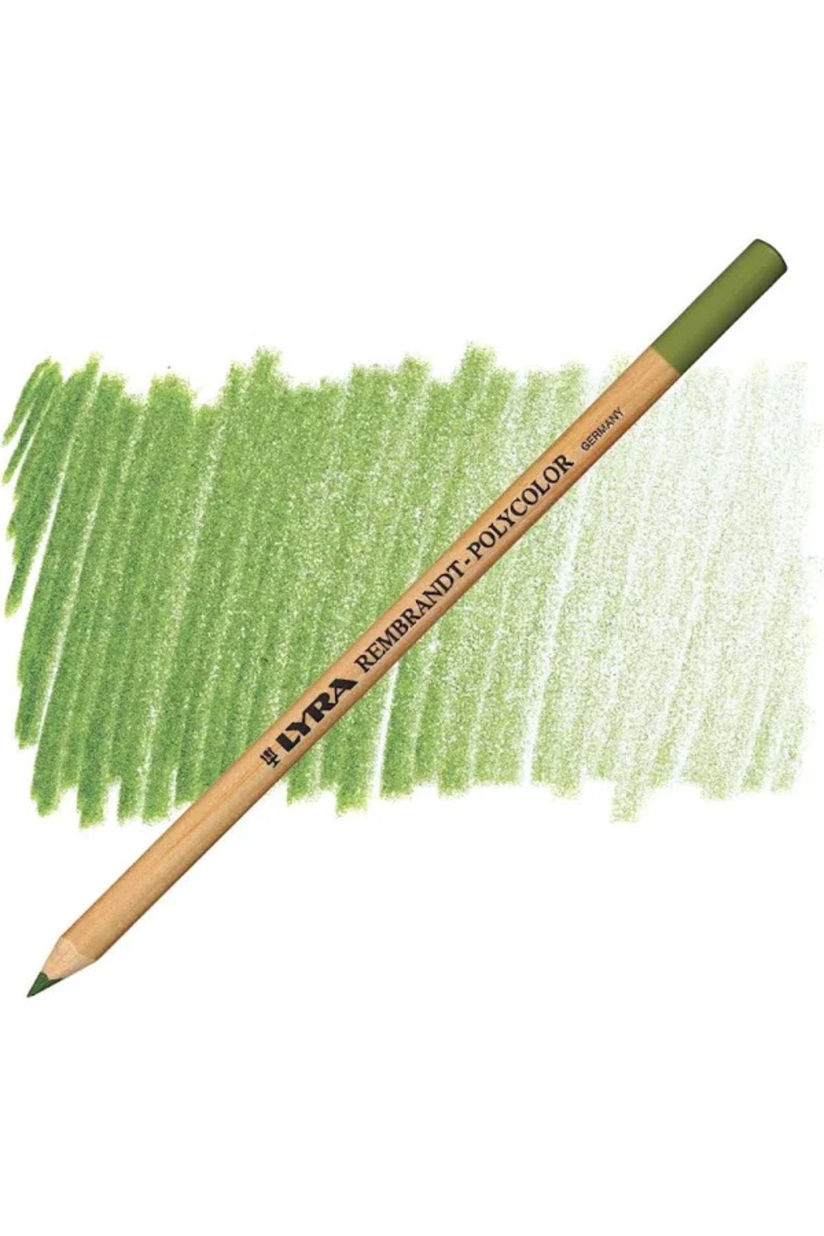 Rembrandt Polycolor Kuru Boya Kalemi Moss Green / 068