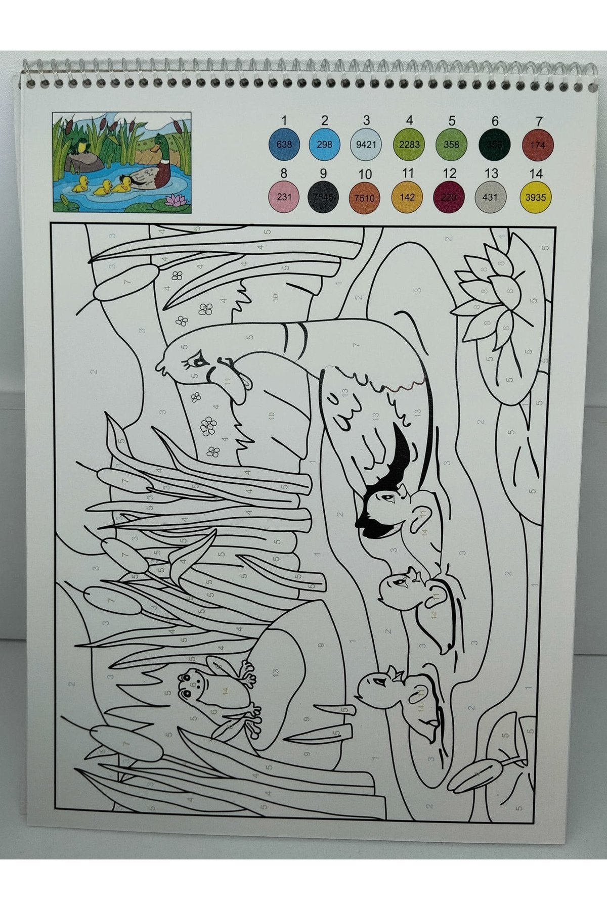 Çocuklar için sayılarla boyama kitabı ve 24 lü marker set