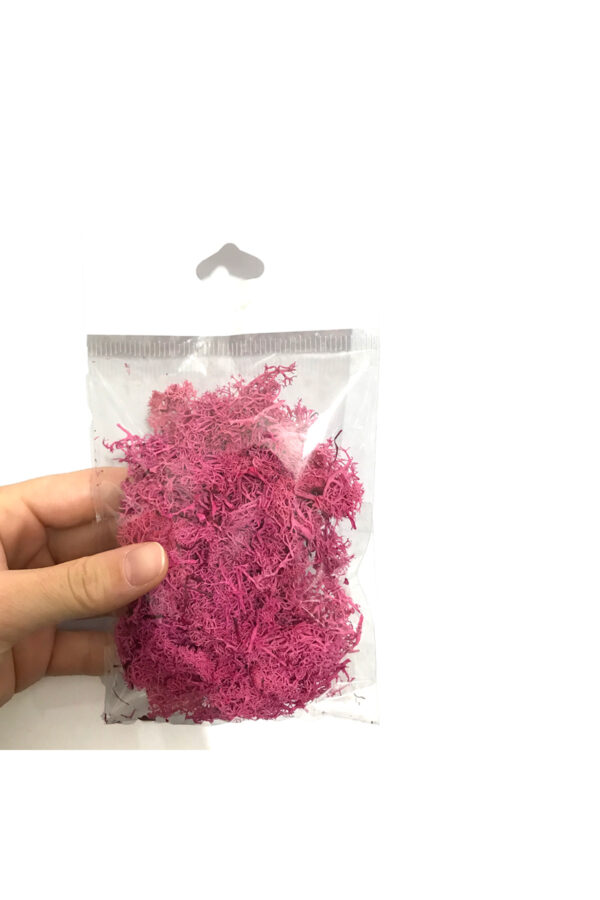 maket yosun teraryum yosunu pembe Moss yosun 10 gr maket yosun teraryum yosunu pembe Moss yosun 10 gr