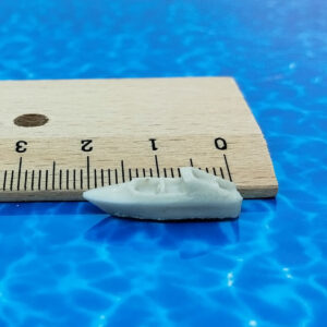 3 adet maket tekne 2cm 3 adet maket tekne 2cm