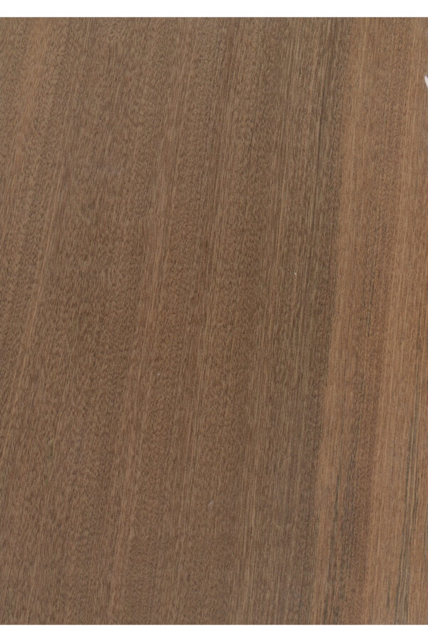 ahşap maun kaplama 20x30 cm 0,5 mm 2 adet